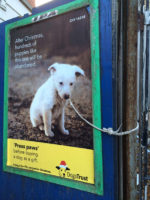 poster dog tied to post with real rope