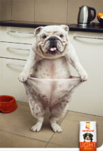 doggie biscuit print ad