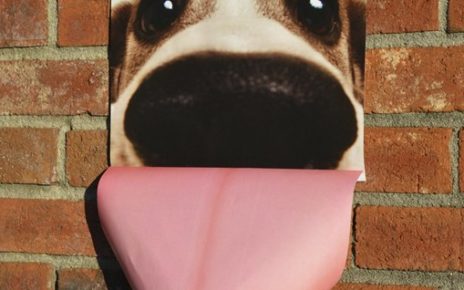 3D poster of dog with tongue hanging out
