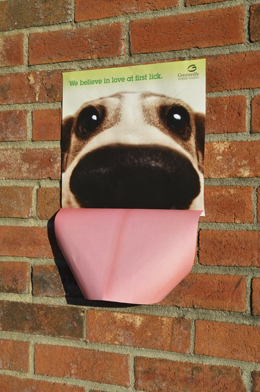 3D poster of dog with tongue hanging out