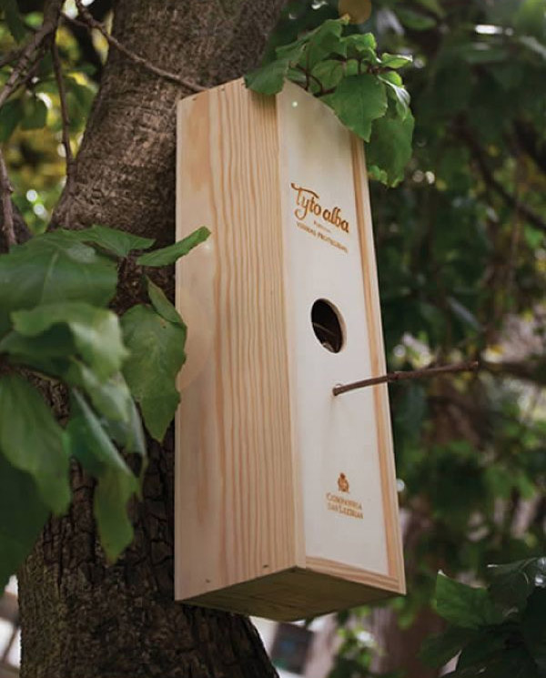 wooden wine box bird house