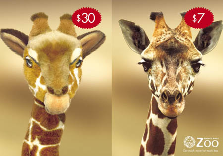 stuffed giraffe vs zoo visit