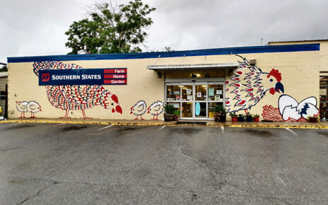 storefront mural chickens southern states asheville