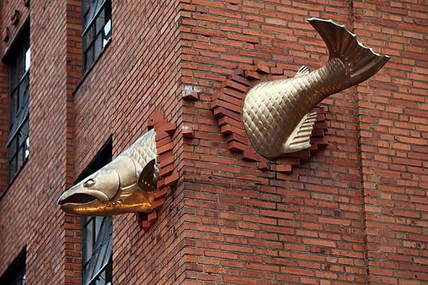 3d salmon swimming through corner of building